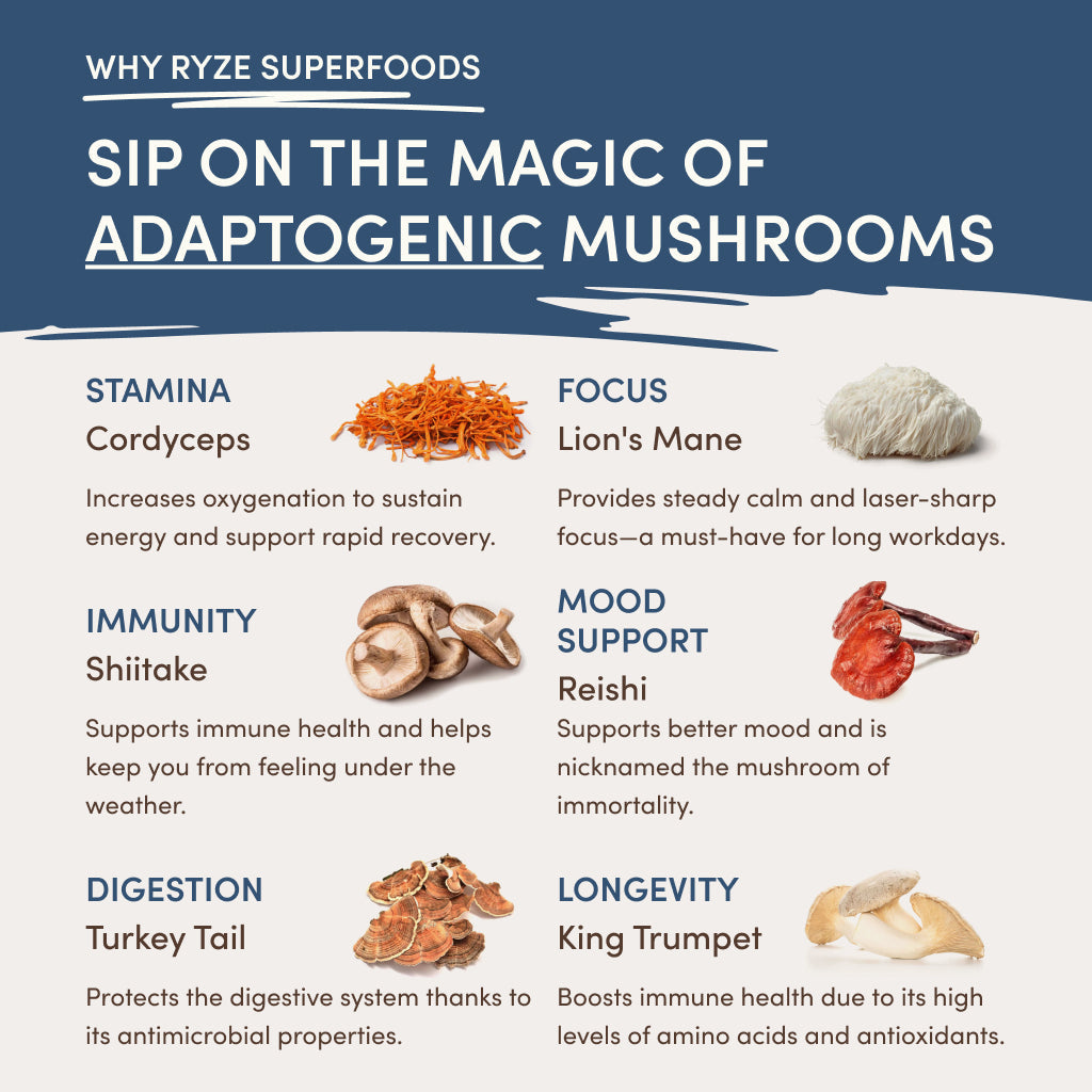 RYZE Nighttime Mushroom Cocoa Starter Bag S7