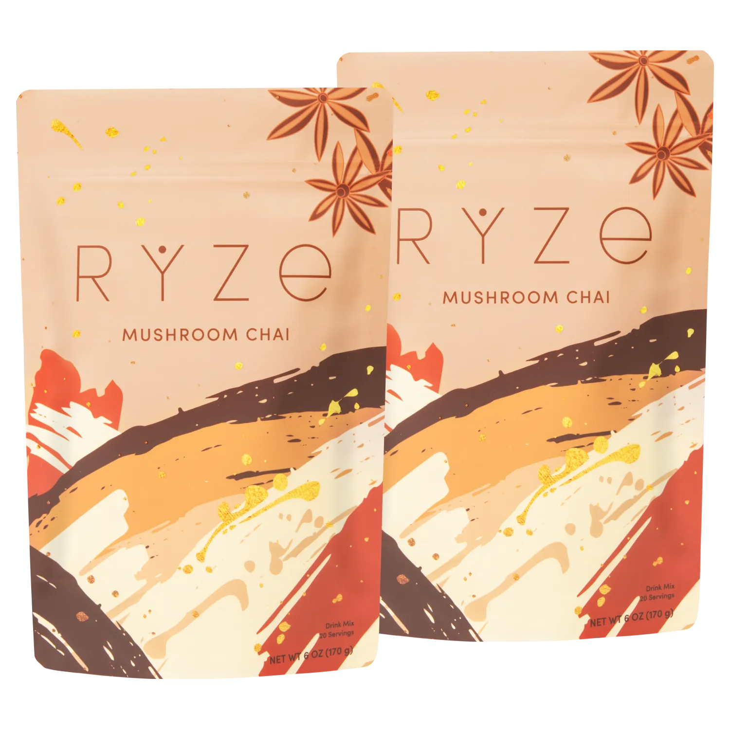 Mushroom Chai Starter Kit: 40 Servings H2