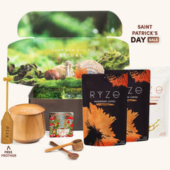 Mushroom Coffee Ritual Set Y6