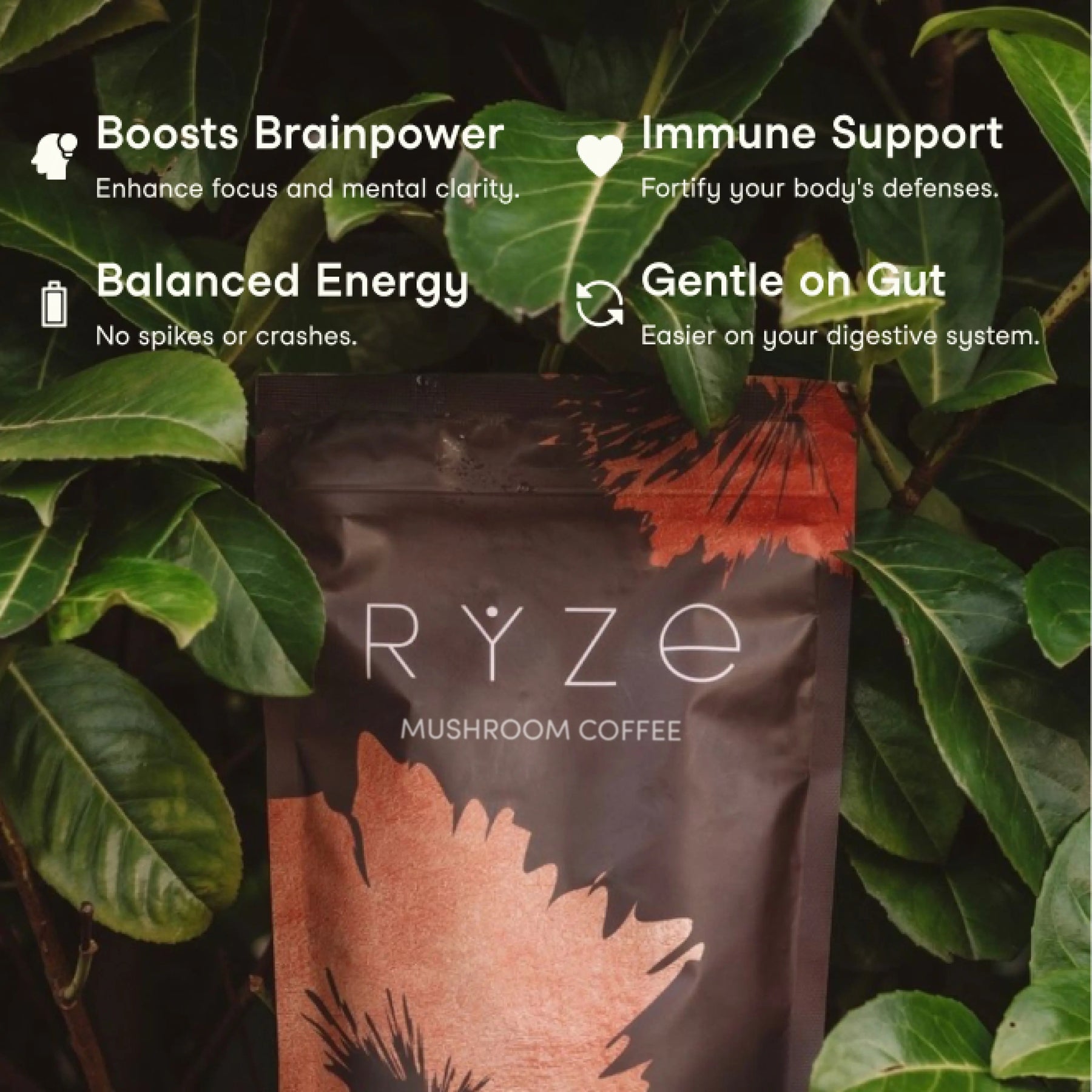 RYZE Mushroom Coffee — Organic Instant Coffee with Cordyceps & Reishi, 30 Servings H9