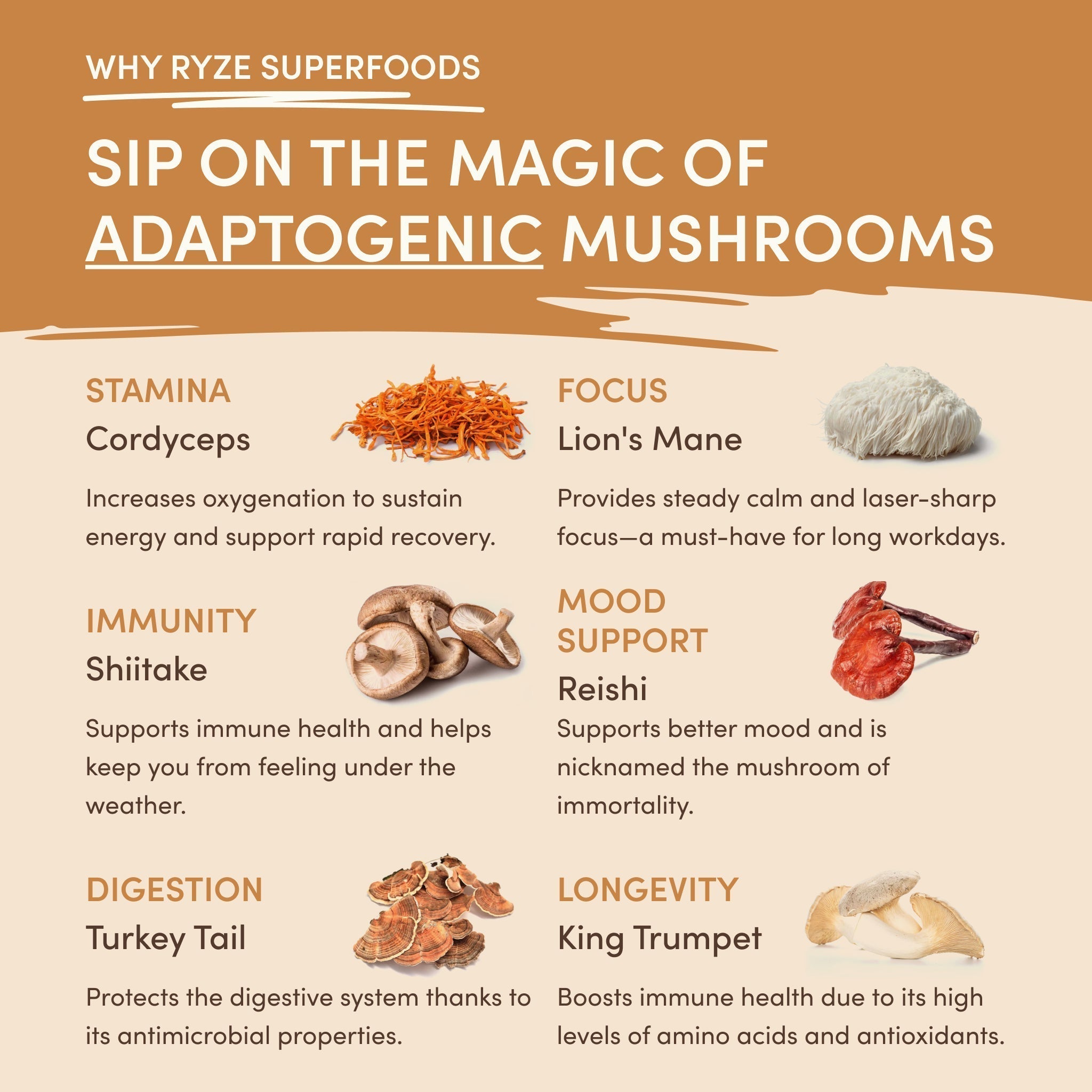Mushroom Overnight Oats (14 Servings) Q3