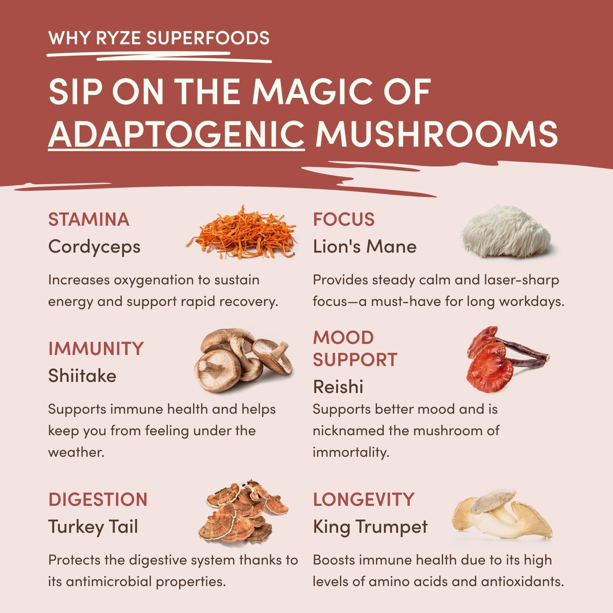 RYZE Mushroom Chicory — Organic Instant Chicory with Shitake & Lions mane, 30 Servings K1