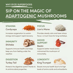 RYZE Mushroom Matcha — Organic Instant Matcha Latte with Lion's Mane & King Trumpet, 30 Servings K7