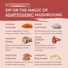 Mushroom Chai (20 Servings) C9