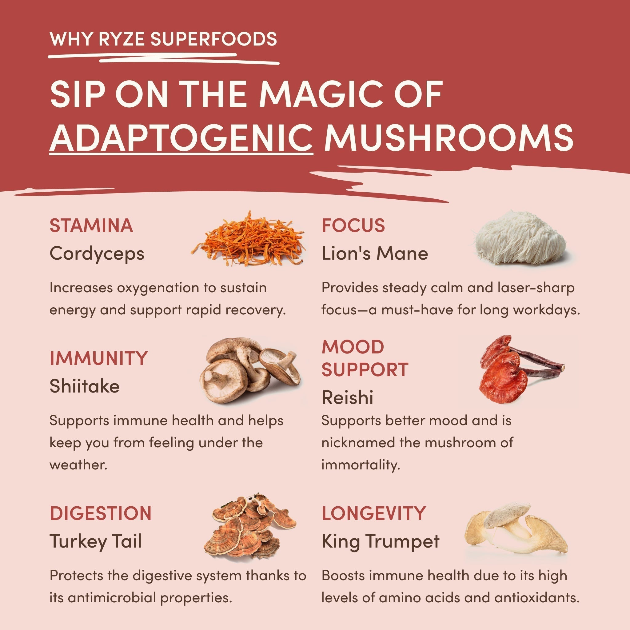 RYZE Mushroom Chai — Organic Instant Chai with Reishi & Organic Black Tea, 20 Servings A8