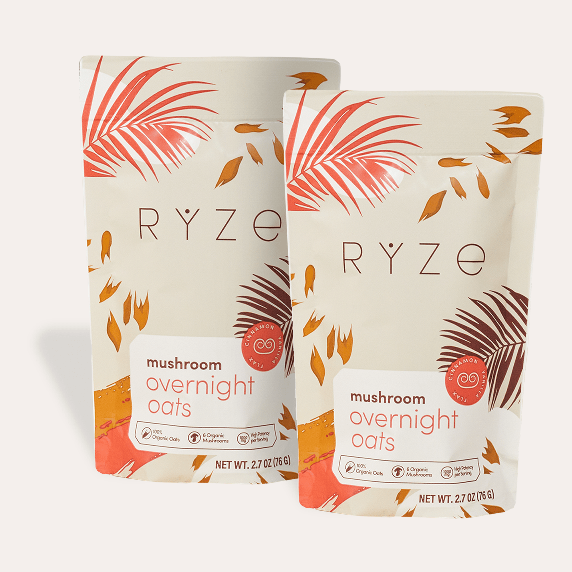 Mushroom Overnight Oats Pack (28 Servings) F6