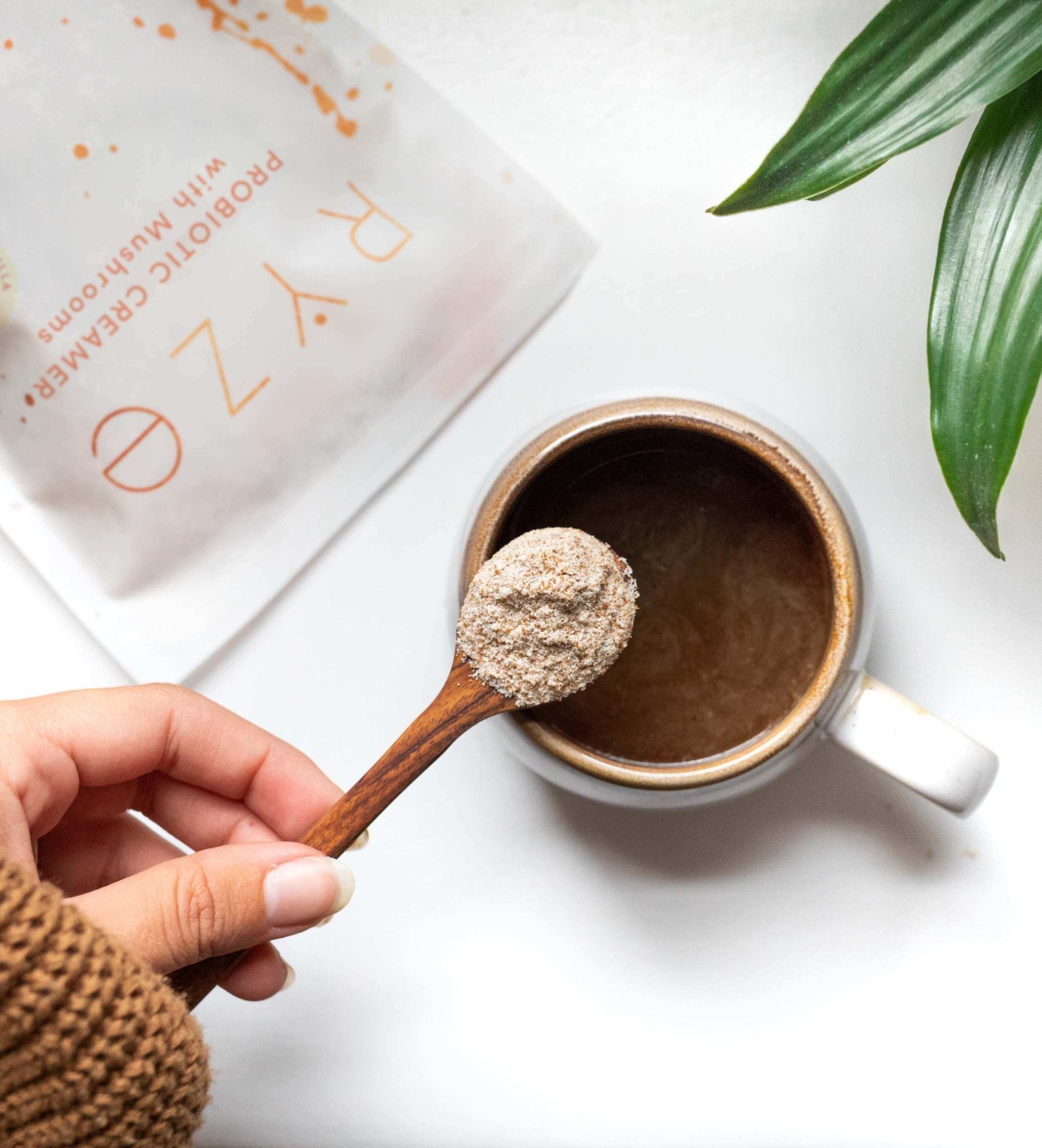 Probiotic Creamer (30 Servings) B8