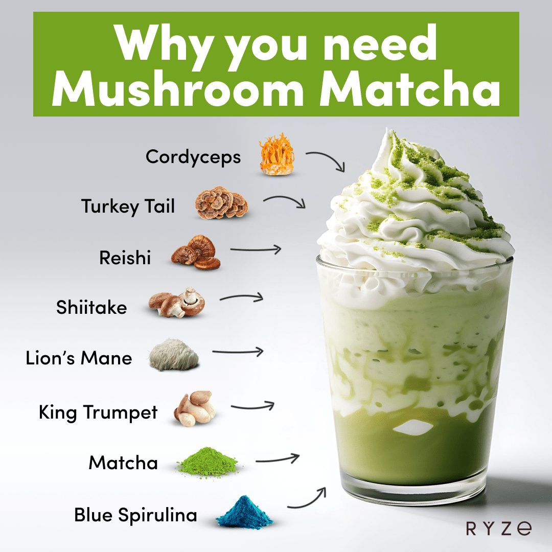 RYZE Mushroom Matcha - with 6 Organic Adaptogenic Mushrooms Grown In USA and Ceremonial-Grade Japanese Matcha F3
